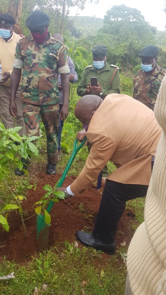 Tree Planting- May 2021