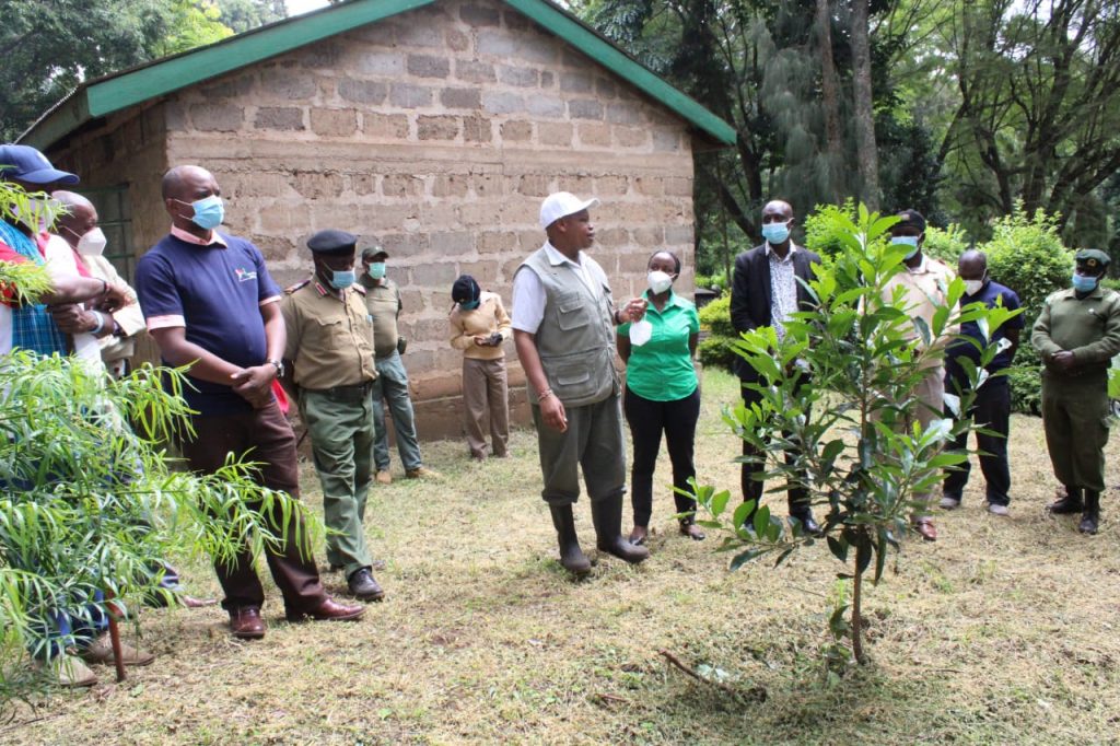 Tree Planting- May 2021